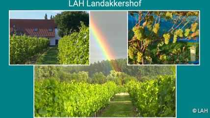 We ontdekken samen LAH - Landakkershof